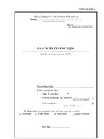 Mẫu trình bày SKKN