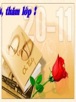 Bai Gôm xây dưng - gach ngoi