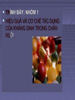 bài về hiệu quả và tác dụng của kháng sinh trong chăn nuôi