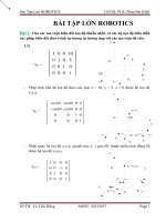 Bài tập lớn robotics