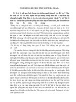 Tình riêng bỏ chợ-Tình ngườì đa đoan