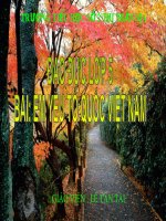 BAI - EM YÊU TÔ QUÔC VIET NAM