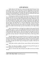 luận văn quản trị kinh doanh một số ý kiến góp phần hoàn thiện công tác đa dạng hoá sản phẩm tại nhà máy chỉ khâu hà nội