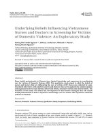 Nghiên cứu thăm dò về ảnh hưởng của lòng tin vào các y bác sỹ Việt Nam trong việc sàng lọc các nạn nhân của bạo lực gia đình