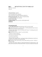 Giáo án ôn tập TN văn 12