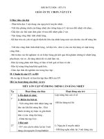 Giao an Tu chon ly 8