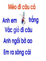THƠ TRANH CHỮ TO MÈO ĐI CÂU CÁ