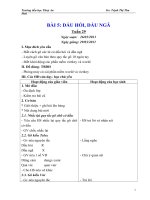 Bài 5 dấu hỏi, dấu ngã