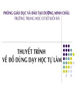 thuyet trinh do dung