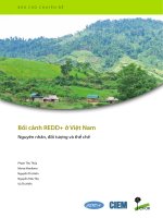 Bối cảnh REDD+ ở Việt nam