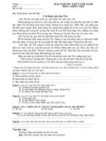 Đề ôn tập cuối kì 2 lớp4