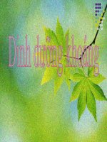 bài thuyết trình dinh dưỡng khoáng