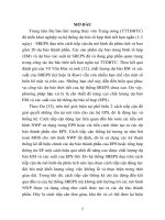 tóm tắt luận án tiến sĩ nghiên cứu phát triển và ứng dụng phương pháp thống kê sau mô hình tổ hợp (EMOS) vào dự báo thời tiết ở việt nam