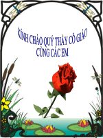 Bai - Đinh Bô Linh dep loan 12 sư quân