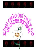 SỐ VÔ TỶ - KHÁI NIỆM CĂN BẬC HAI