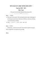ĐỀ GIAO LƯU HSG Toán L5