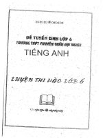 Đề thi tuyển sinh lớp 6 trường thpt chuyên trần đại nghĩa môn tiếng anh