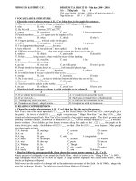 ĐỀ THI HKII ANH 9 BÌNH ĐỊNH 2010