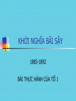 khởi nghĩa bãi sậy