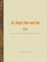 bài 4: Chăm sóc lợn con sơ sinh