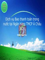 Dịch vụ báo thanh toán trong nước tại ngân hàng TMCP Á Châu