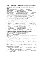 UNIT 3 THE SIMPLE SIMPLE & THE PAST CONTINUOUS