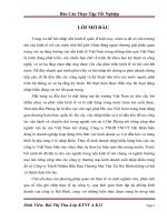 Phân tích tình hình nhập khẩu ô tô đầu kéo tại công ty Trách Nhiệm Hữu Hạn Thương Mại Vận Tải Hải Bình