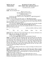 ĐỀ THI HSG LỚP 5 HUYỆN VĨNH TƯỜNG NĂM HỌC 2010-2011