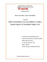 BÁO CÁO THỰC TẬP CUỐI KHÓA  PHÂN TÍCH BÁO CÁO TÀI CHÍNH VÀ THỰC TRẠNG DỊCH VỤ INTERNET HIỆN NAY