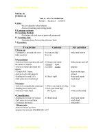 Giáo án Ngoại ngữ (Lớp 3) Tuần 20