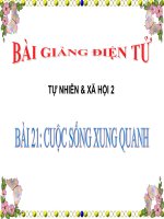 BÀI 21 CUỘC SỐNG XUNG QUANH