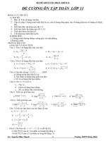 de thi hoc ky 2 toan 11