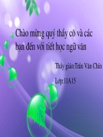 ÔN TẬP VĂN HỌC (Phần thơ)
