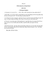 Đề Toán HSG 4 số 8