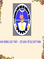 TLV: Miêu tả cây cối