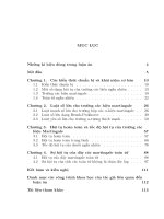 Các định lý giới hạn cho martingale