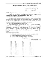 Bài thực hành kinh tế lượng