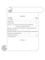 Tiểu luận khóa quản lý giáo duc