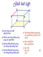 Hinh lang tru dung moi nam 2011