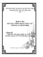 Báo cáo tổng kết hoạt động NGLL năm 2011