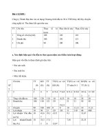 Đề cương hệ thống bài tập Kiểm toán hoạt động