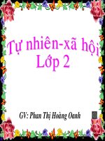 cac loai cay song tren can. TNXH Lop 2