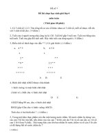 Đề Toán HSG 4 số 7