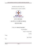 Đồ án môn nguyên lý và thiết bị trong nhà máy điện xét cụ thể về tuabin thủy lực kiểu phản lực