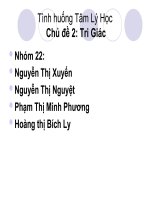 tam ly hoc chu de Tri giac