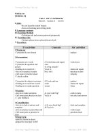 Giáo án Ngoại ngữ (Tiểu học).