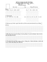 Đề thi chọn đội tuyển HSG  Huyện lớp 3