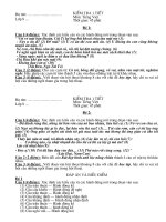 Đề kiểm tra 45 phút Tiếng Việt 8 kì II