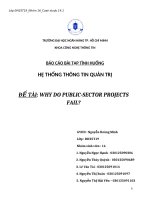 BÁO CÁO BÀI TẬP TÌNH HUỐNG HỆ THỐNG THÔNG TIN QUẢN TRỊ ĐỀ TÀI WHY DO PUBLIC-SECTOR PROJECTS FAIL