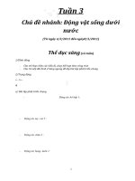 giao an 4 tuoi chuan chi viec in